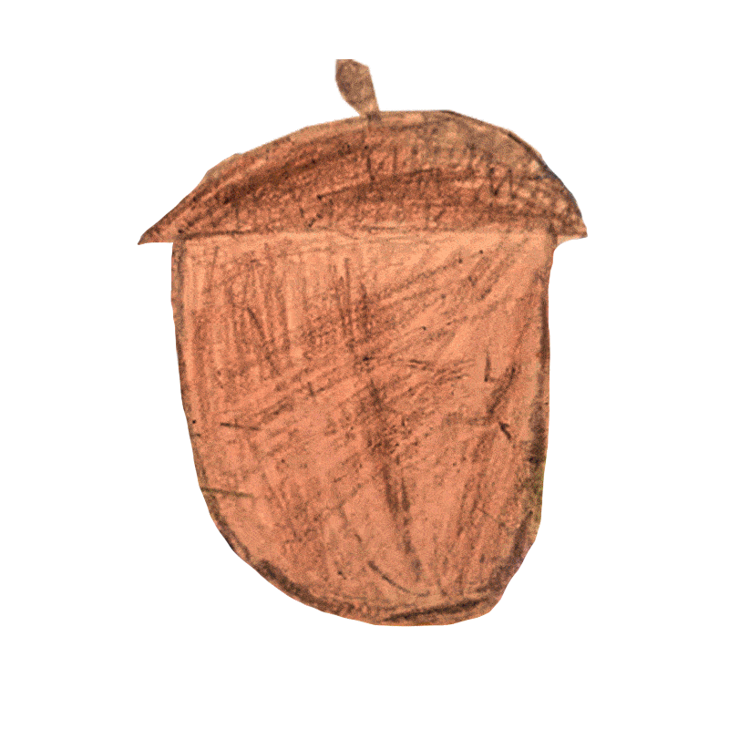 animated acorn
